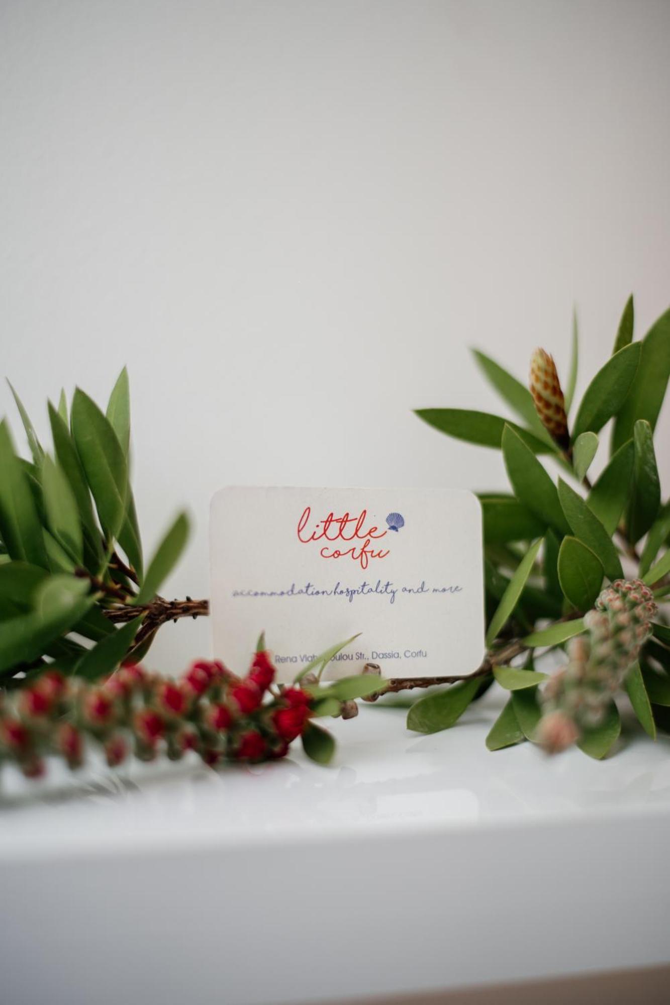 Aparthotel Little Corfu Dassia  Exterior foto